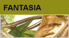 fantasia