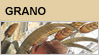 grano